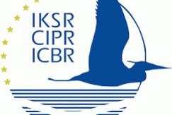 Internationale Commissie ter Bescherming van de Rijn