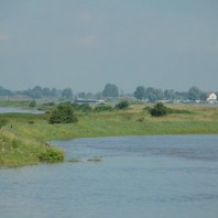 Deltaprogramma Rijn